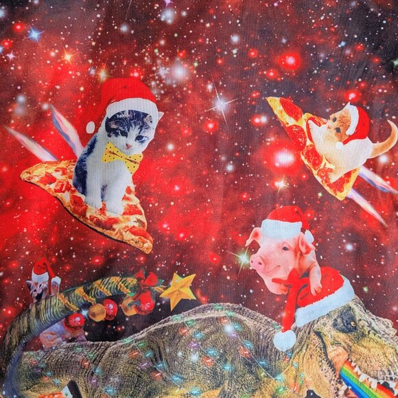 Christmas Sweatshirt Galaxy Dinosaur Flying Cats Pigs Santa Hat Rainbow Medium - Picture 10 of 15